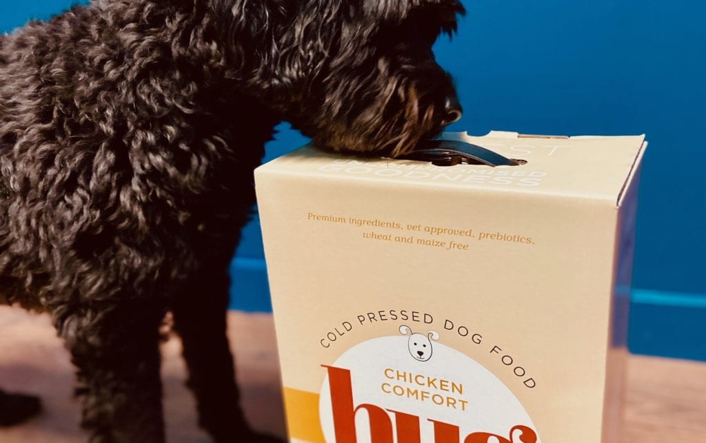Fletcher with our hydrolysed dog food