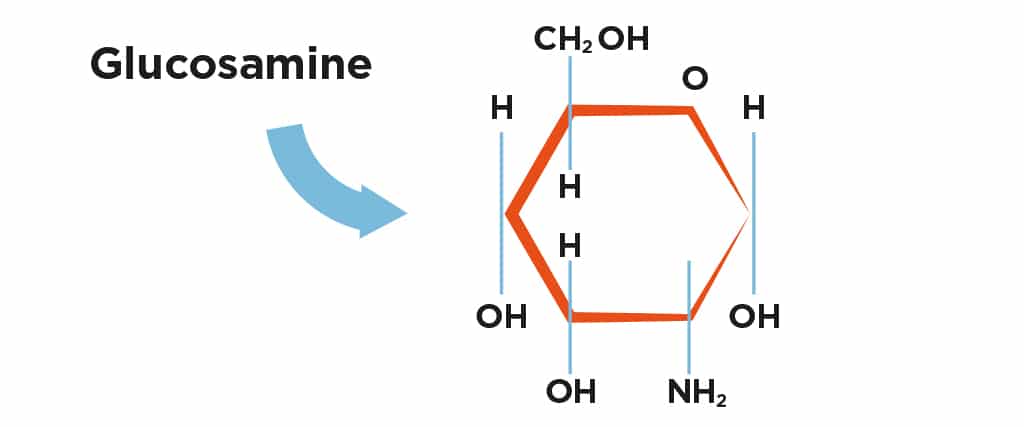 Glucosamine 1