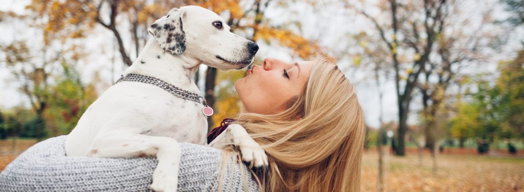 dog and person kissing