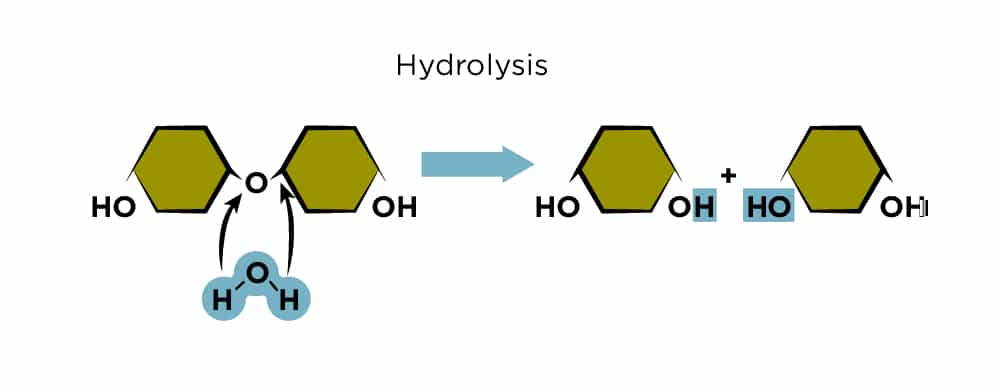 Hydrolysed dog food diagram