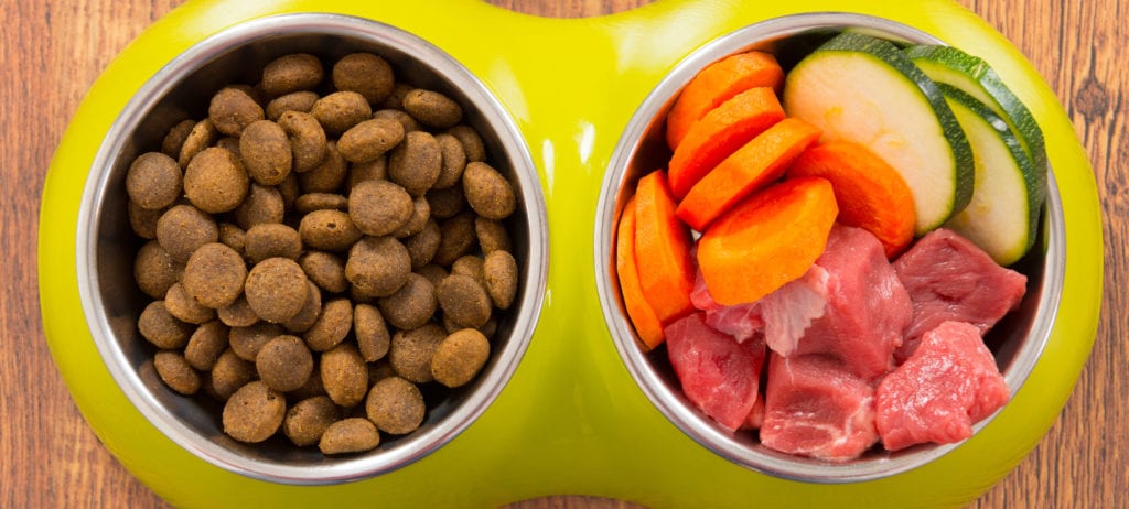 Kibble and raw pet food