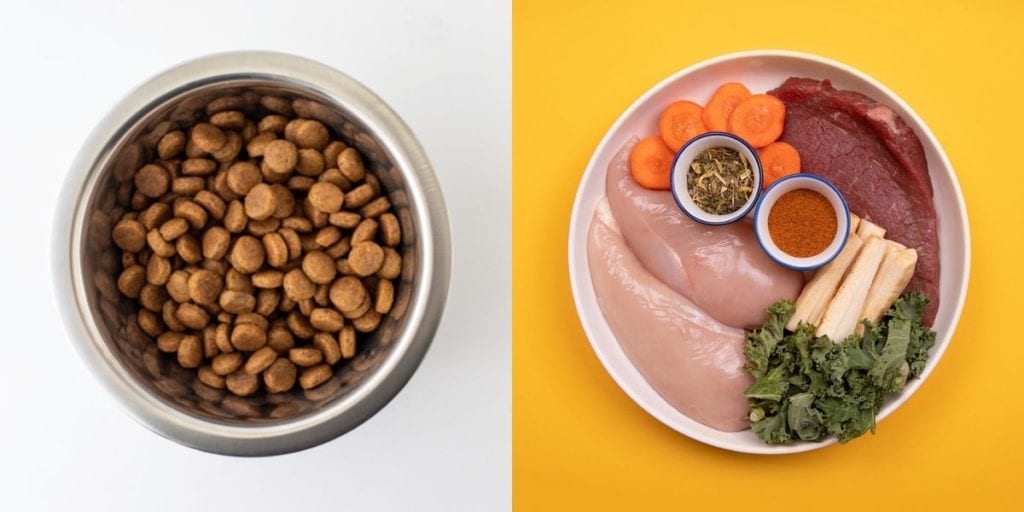 bowl of dry food and bowl of fresh dog food 