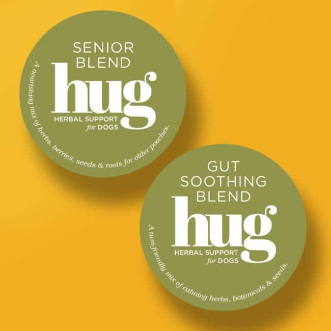 Senior and Gut
