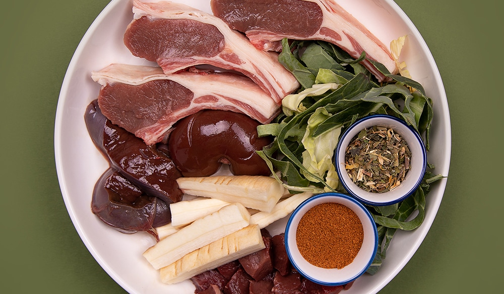 Hug raw dog food