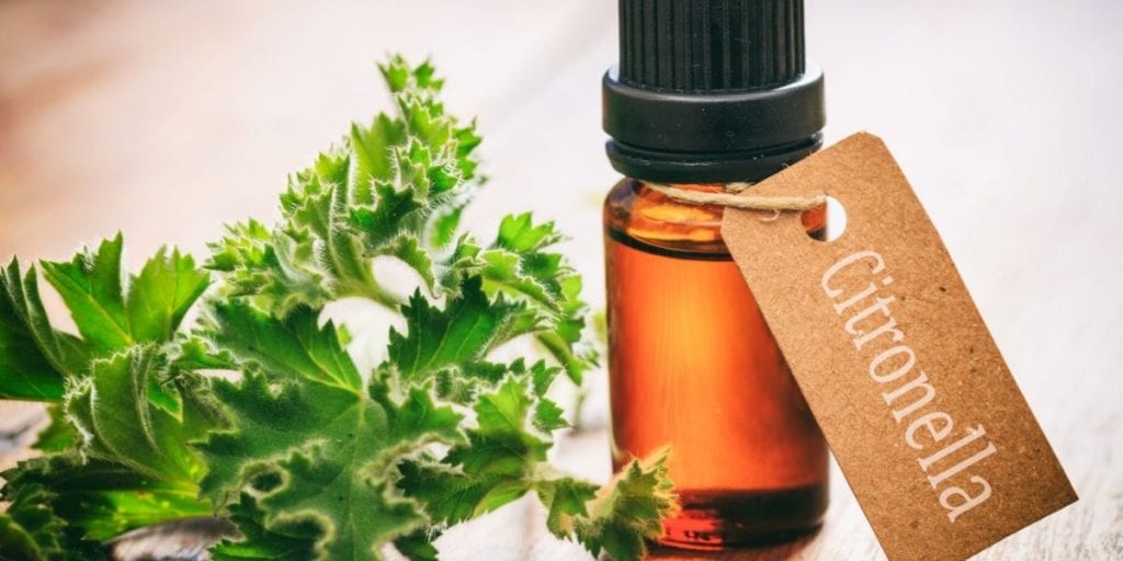citronella in a bottle