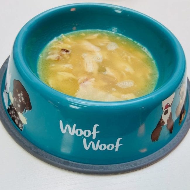 bowl of bone broth for dogs