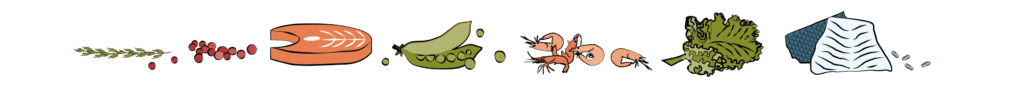 fish and vegetables banner