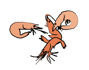 Hug Krill